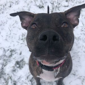 Meet your Posher, Kortney